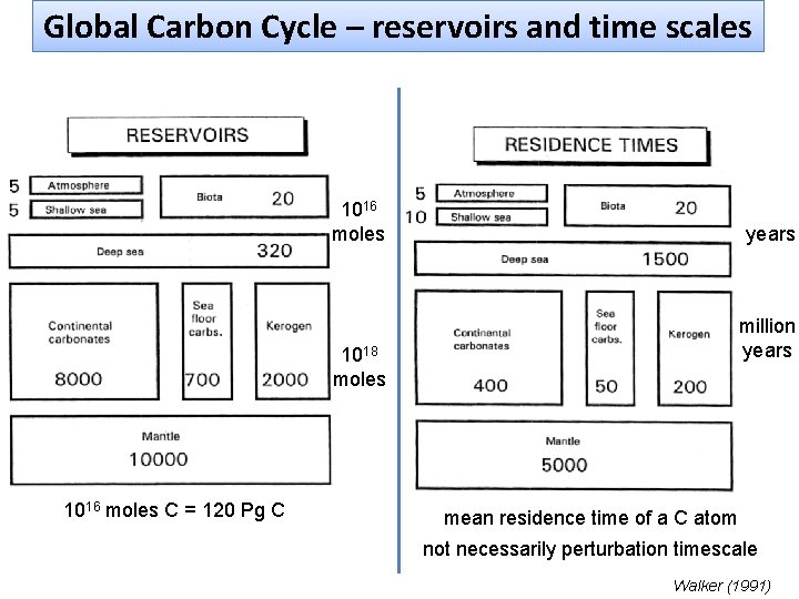 Global Carbon Cycle – reservoirs and time scales 1016 moles years million years 1018