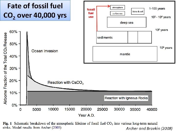 Fate of fossil fuel CO 2 over 40, 000 yrs Archer and Brovkin (2008)