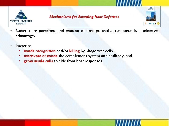 Mechanisms for Escaping Host Defenses • Bacteria are parasites, and evasion of host protective