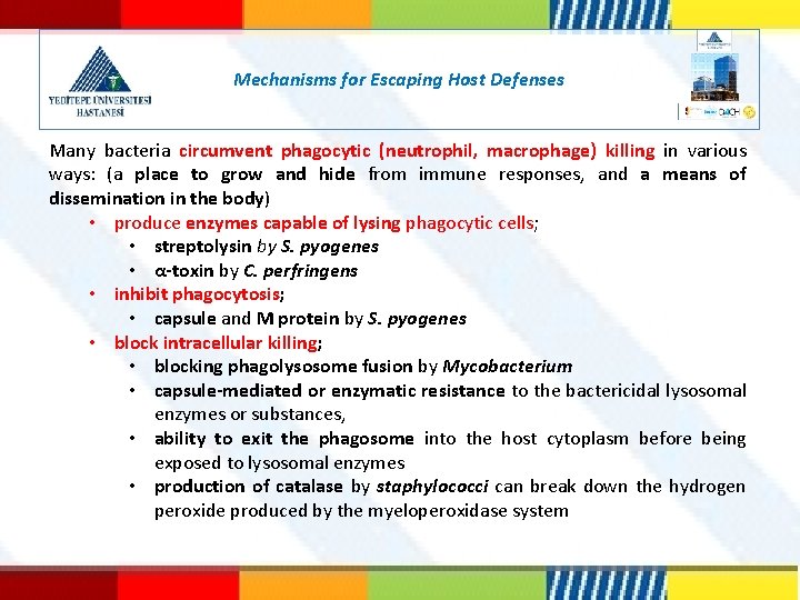 Mechanisms for Escaping Host Defenses Many bacteria circumvent phagocytic (neutrophil, macrophage) killing in various