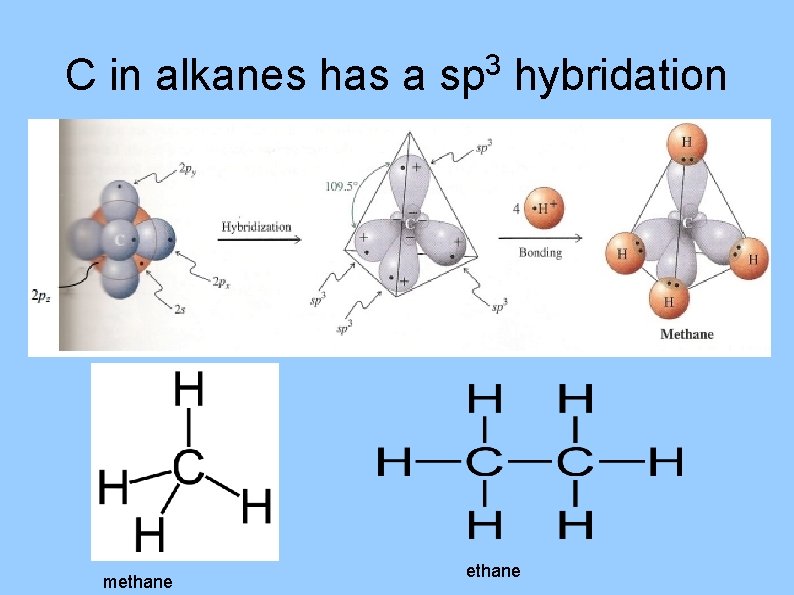 C in alkanes has a methane 3 sp hybridation ethane 