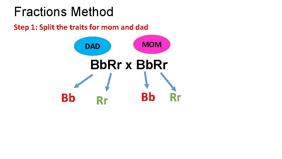 Fractions Method Step 1: Split the traits for mom and dad DAD MOM Bb.