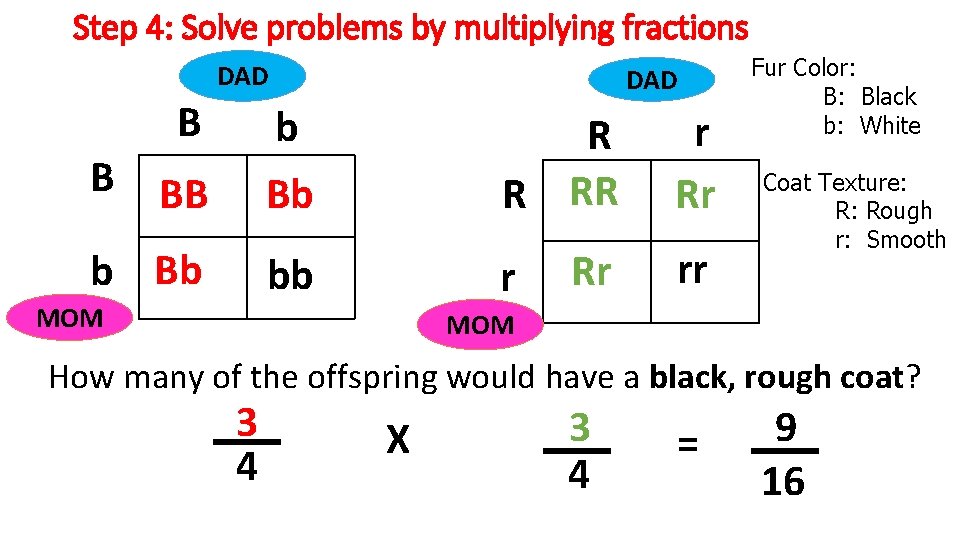 Step 4: Solve problems by multiplying fractions DAD B DAD b r Rr Rr