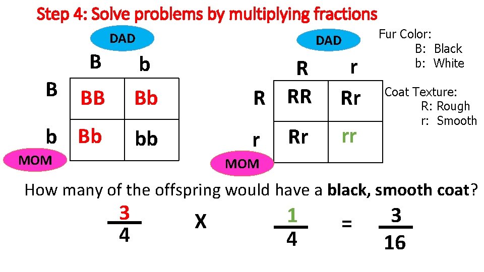 Step 4: Solve problems by multiplying fractions DAD B DAD b r Rr Rr