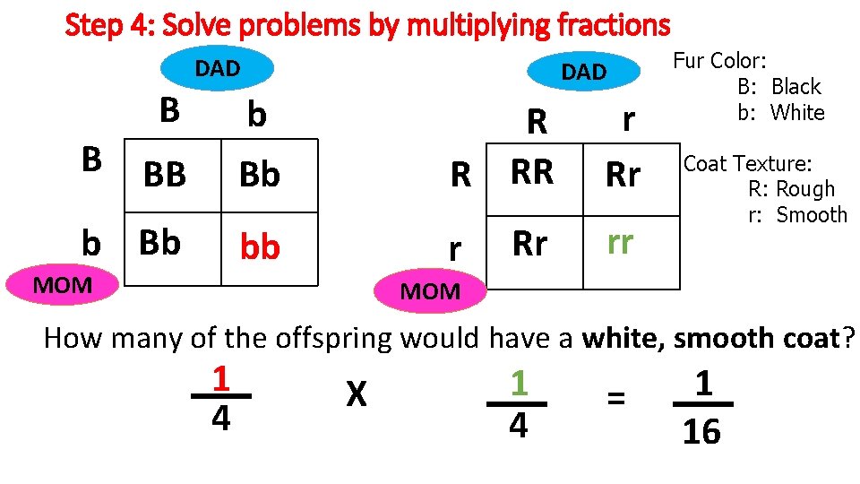 Step 4: Solve problems by multiplying fractions DAD B DAD b r Rr Rr