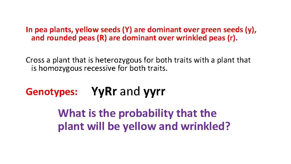 In pea plants, yellow seeds (Y) are dominant over green seeds (y), and rounded