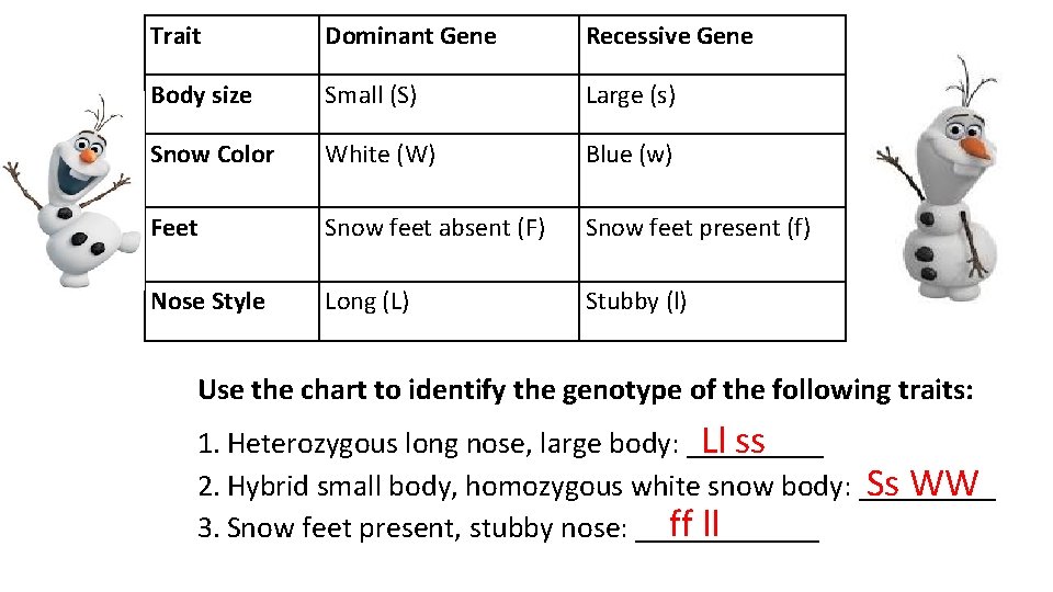 Trait Dominant Gene Recessive Gene Body size Small (S) Large (s) Snow Color White