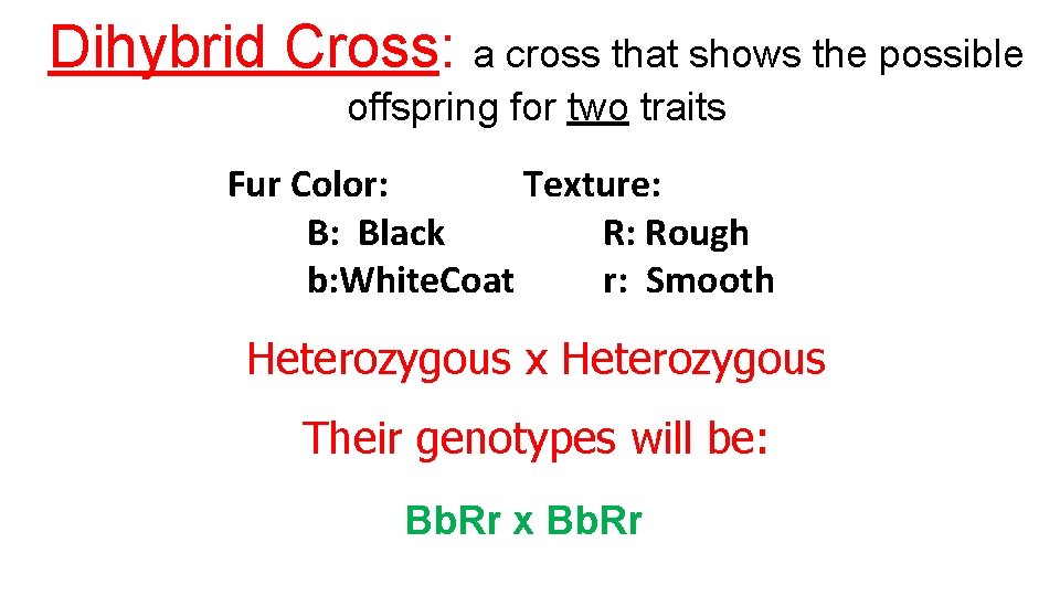 Dihybrid Cross: a cross that shows the possible offspring for two traits Fur Color: