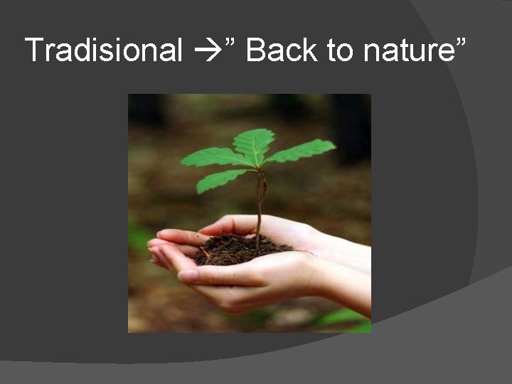 Tradisional ” Back to nature” 