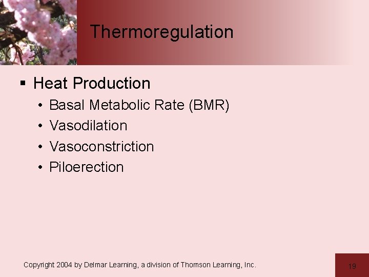 Thermoregulation § Heat Production • • Basal Metabolic Rate (BMR) Vasodilation Vasoconstriction Piloerection Copyright