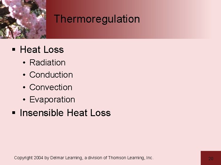 Thermoregulation § Heat Loss • • Radiation Conduction Convection Evaporation § Insensible Heat Loss