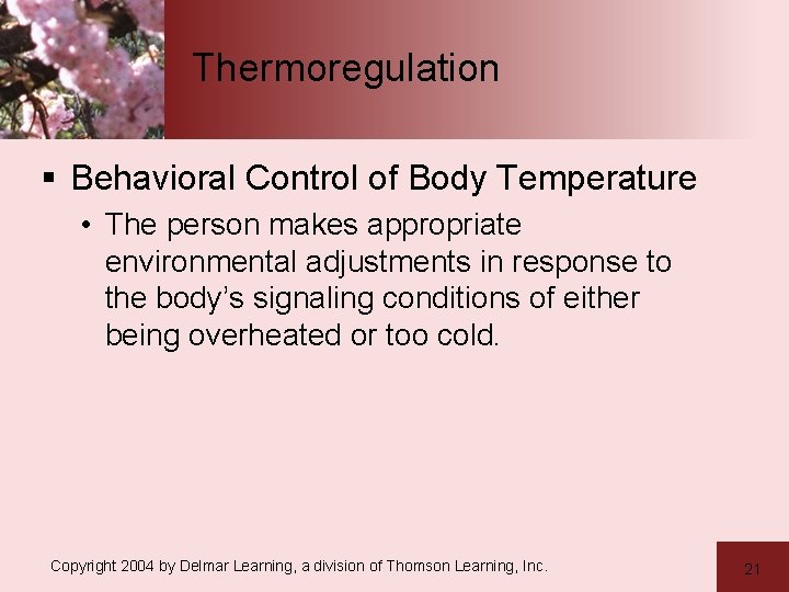 Thermoregulation § Behavioral Control of Body Temperature • The person makes appropriate environmental adjustments