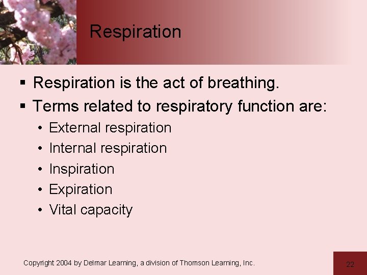 Respiration § Respiration is the act of breathing. § Terms related to respiratory function