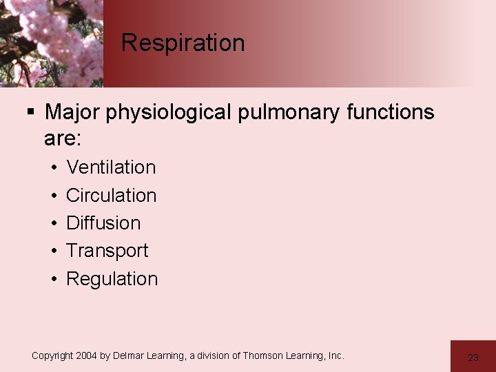 Respiration § Major physiological pulmonary functions are: • • • Ventilation Circulation Diffusion Transport