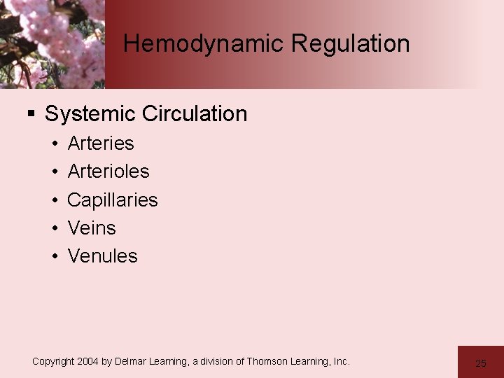 Hemodynamic Regulation § Systemic Circulation • • • Arteries Arterioles Capillaries Veins Venules Copyright