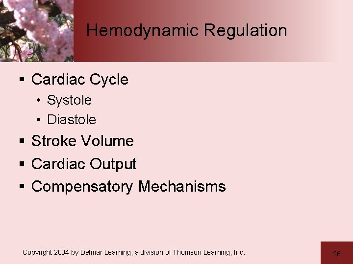 Hemodynamic Regulation § Cardiac Cycle • Systole • Diastole § Stroke Volume § Cardiac