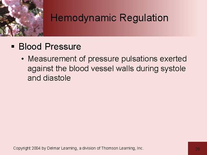 Hemodynamic Regulation § Blood Pressure • Measurement of pressure pulsations exerted against the blood