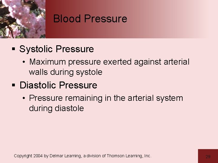 Blood Pressure § Systolic Pressure • Maximum pressure exerted against arterial walls during systole