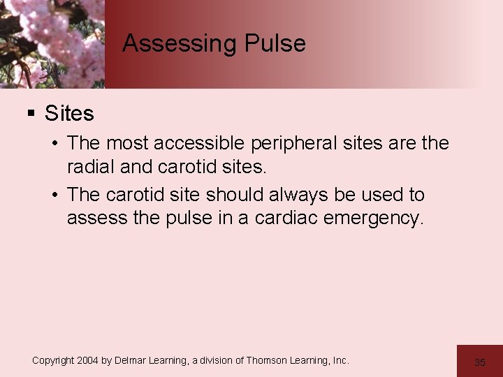 Assessing Pulse § Sites • The most accessible peripheral sites are the radial and