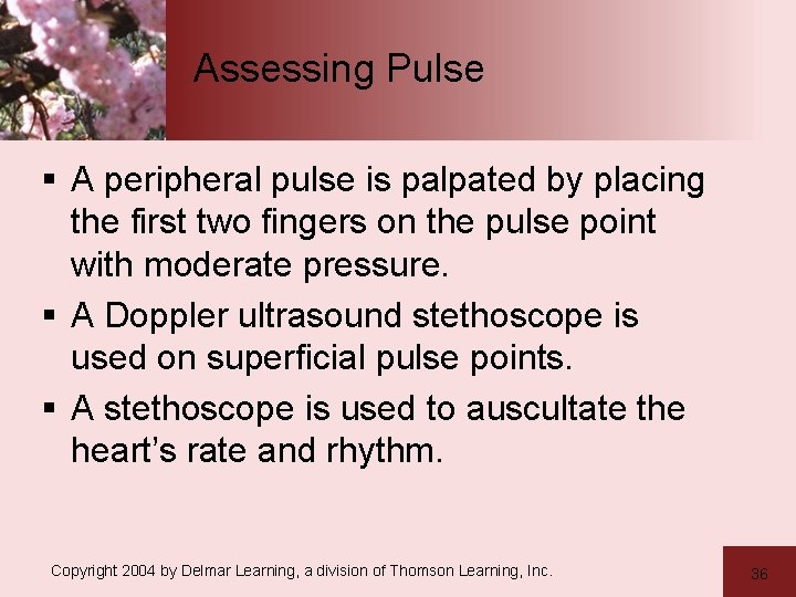 Assessing Pulse § A peripheral pulse is palpated by placing the first two fingers