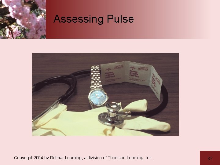 Assessing Pulse Copyright 2004 by Delmar Learning, a division of Thomson Learning, Inc. 37