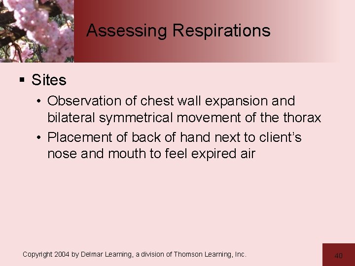 Assessing Respirations § Sites • Observation of chest wall expansion and bilateral symmetrical movement