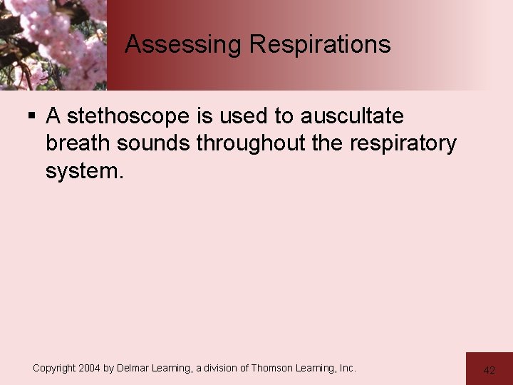 Assessing Respirations § A stethoscope is used to auscultate breath sounds throughout the respiratory