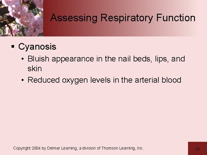 Assessing Respiratory Function § Cyanosis • Bluish appearance in the nail beds, lips, and