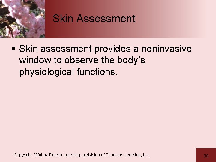 Skin Assessment § Skin assessment provides a noninvasive window to observe the body’s physiological