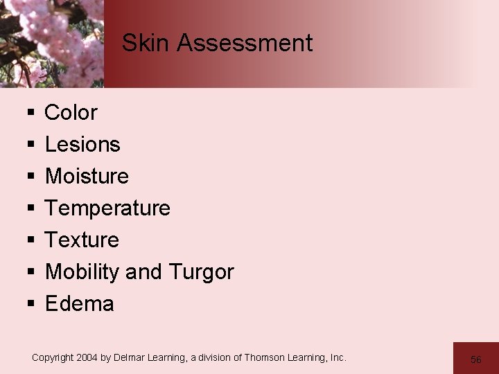 Skin Assessment § § § § Color Lesions Moisture Temperature Texture Mobility and Turgor
