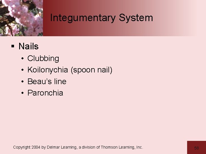 Integumentary System § Nails • • Clubbing Koilonychia (spoon nail) Beau’s line Paronchia Copyright