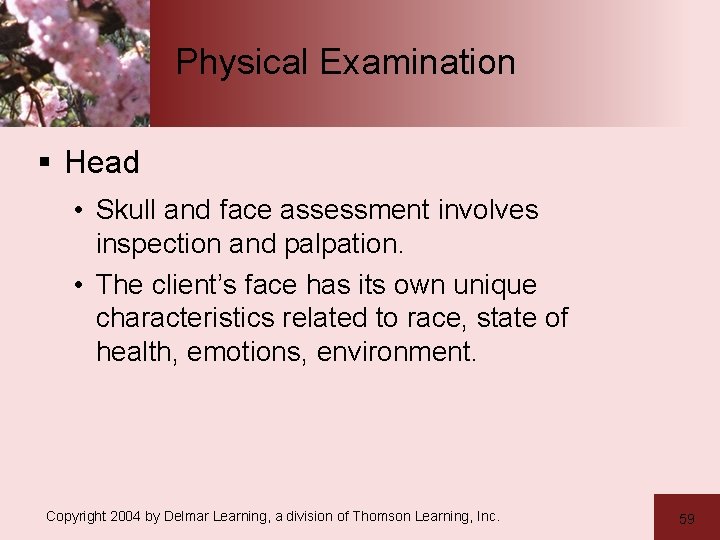 Physical Examination § Head • Skull and face assessment involves inspection and palpation. •