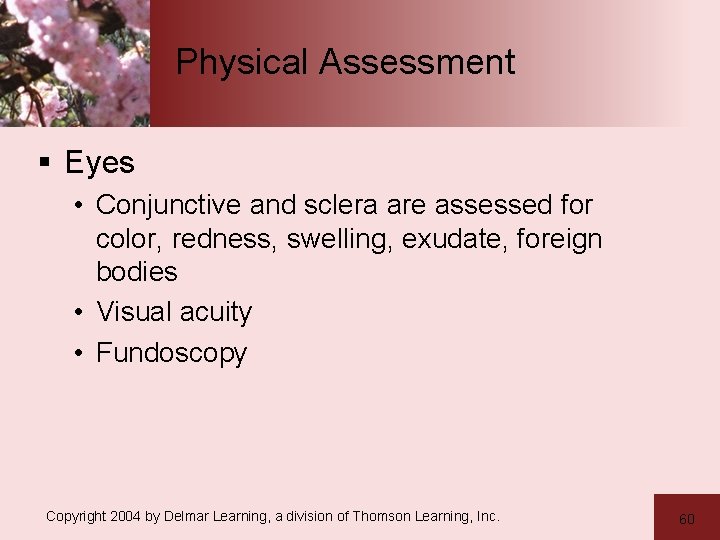 Physical Assessment § Eyes • Conjunctive and sclera are assessed for color, redness, swelling,
