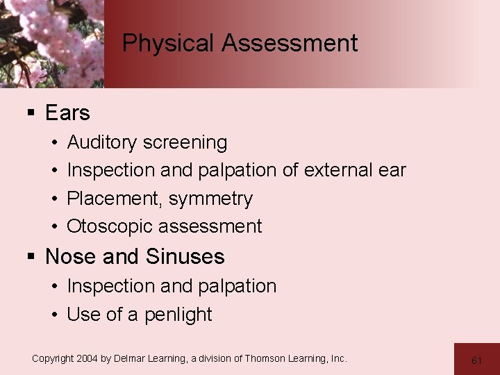 Physical Assessment § Ears • • Auditory screening Inspection and palpation of external ear