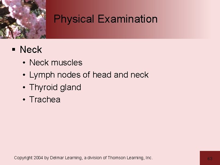Physical Examination § Neck • • Neck muscles Lymph nodes of head and neck