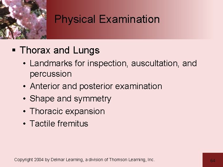 Physical Examination § Thorax and Lungs • Landmarks for inspection, auscultation, and percussion •