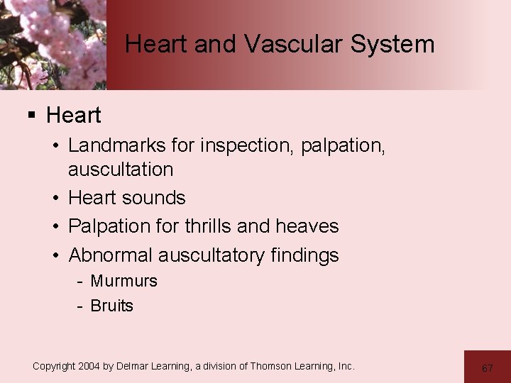 Heart and Vascular System § Heart • Landmarks for inspection, palpation, auscultation • Heart