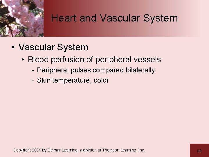 Heart and Vascular System § Vascular System • Blood perfusion of peripheral vessels -
