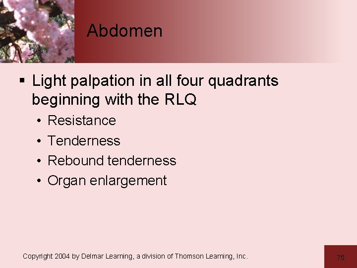 Abdomen § Light palpation in all four quadrants beginning with the RLQ • •