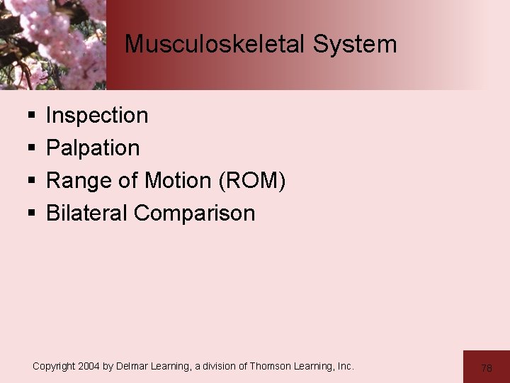 Musculoskeletal System § § Inspection Palpation Range of Motion (ROM) Bilateral Comparison Copyright 2004