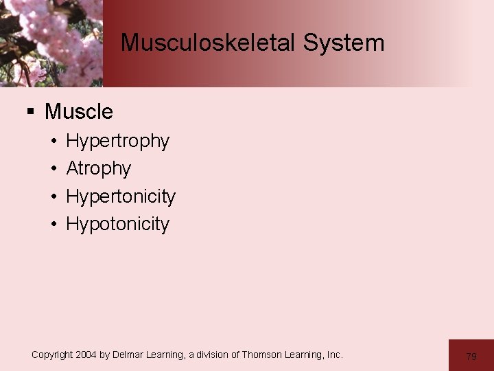 Musculoskeletal System § Muscle • • Hypertrophy Atrophy Hypertonicity Hypotonicity Copyright 2004 by Delmar