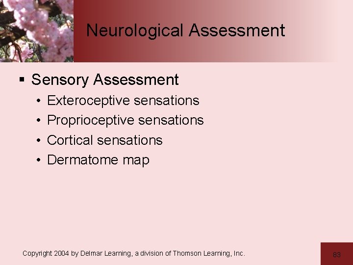 Neurological Assessment § Sensory Assessment • • Exteroceptive sensations Proprioceptive sensations Cortical sensations Dermatome