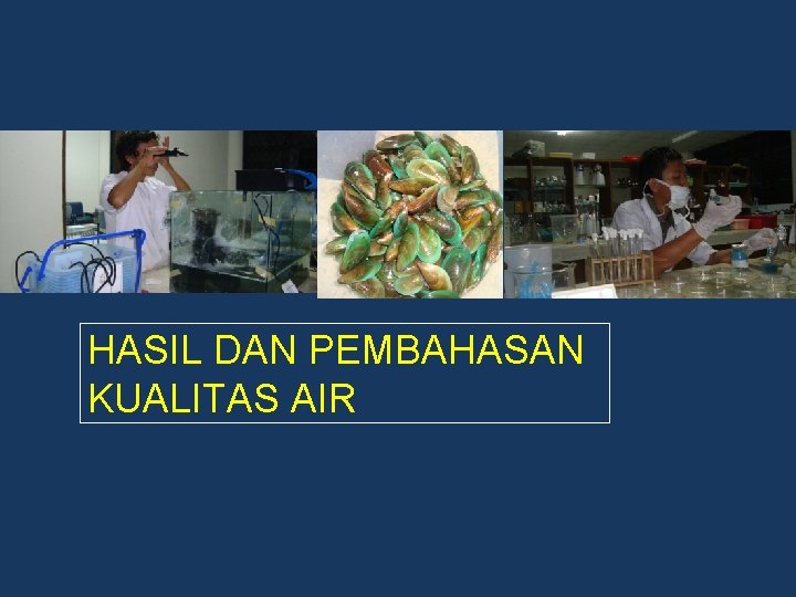 HASIL DAN PEMBAHASAN KUALITAS AIR 