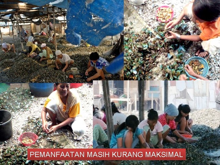 PEMANFAATAN MASIH KURANG MAKSIMAL 