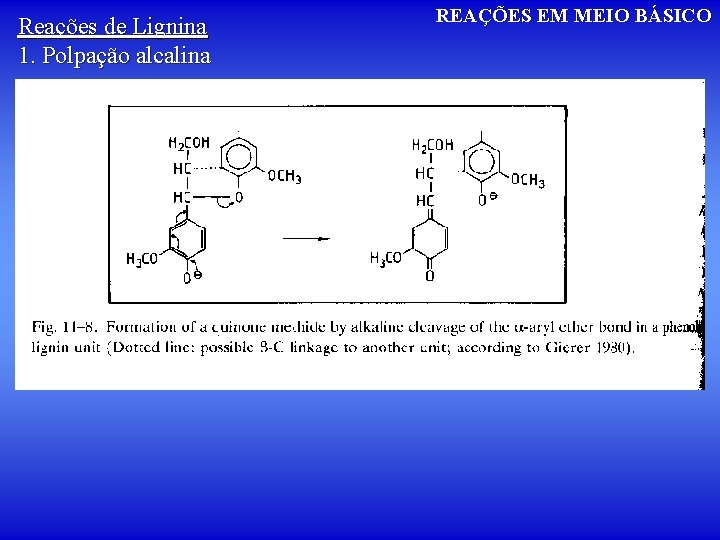Reações de Lignina 1. Polpação alcalina REAÇÕES EM MEIO BÁSICO 