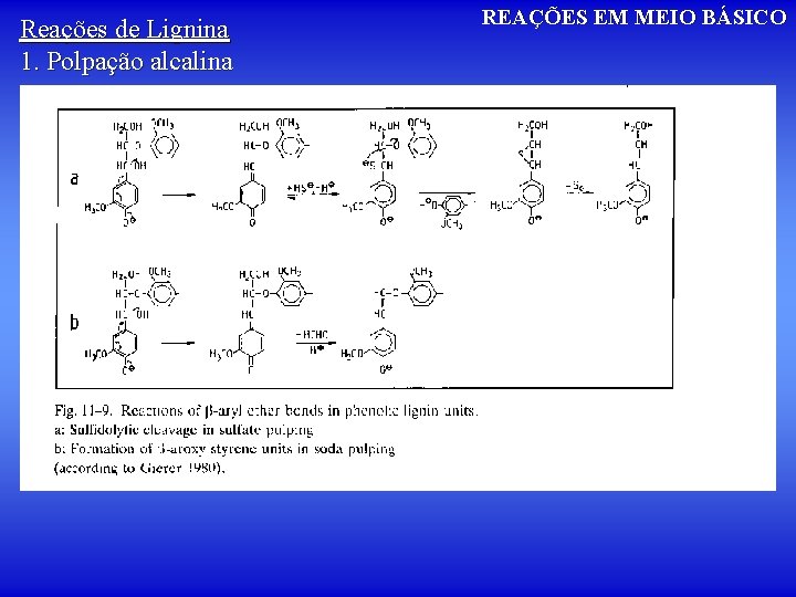 Reações de Lignina 1. Polpação alcalina REAÇÕES EM MEIO BÁSICO 