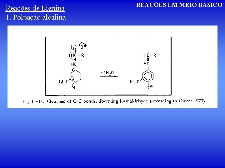 Reações de Lignina 1. Polpação alcalina REAÇÕES EM MEIO BÁSICO 