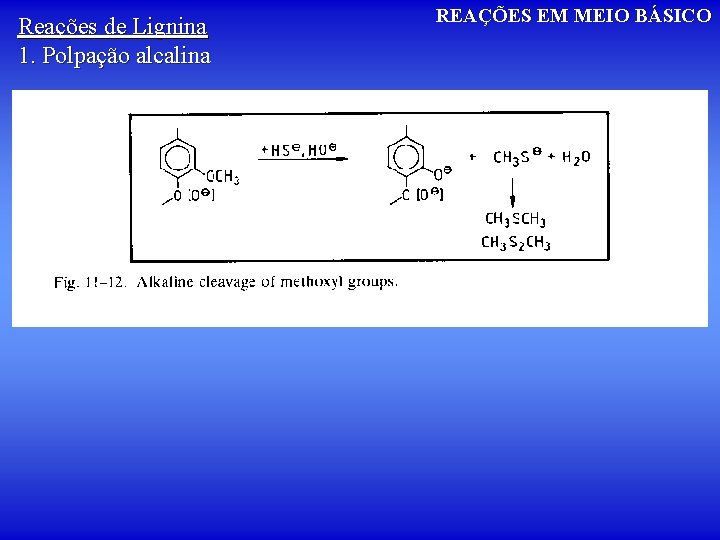 Reações de Lignina 1. Polpação alcalina REAÇÕES EM MEIO BÁSICO 