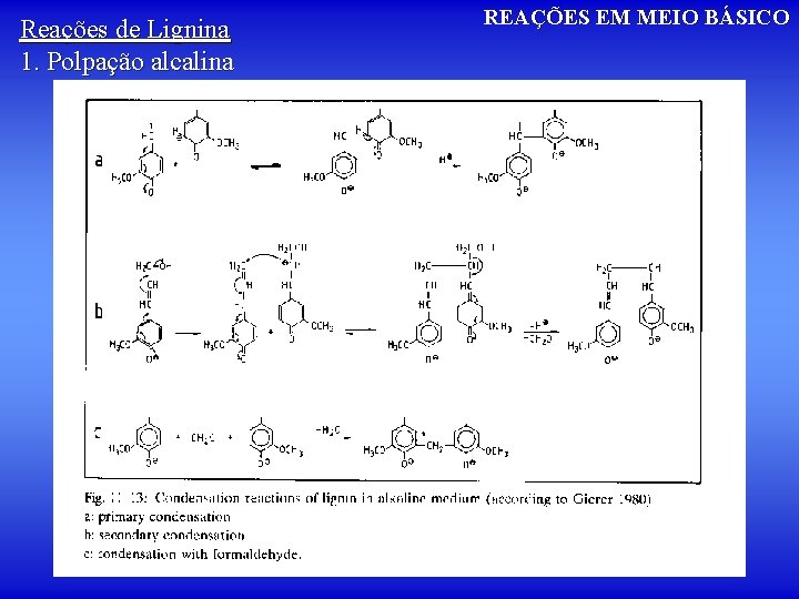 Reações de Lignina 1. Polpação alcalina REAÇÕES EM MEIO BÁSICO 