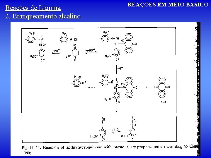 Reações de Lignina 2. Branqueamento alcalino REAÇÕES EM MEIO BÁSICO 